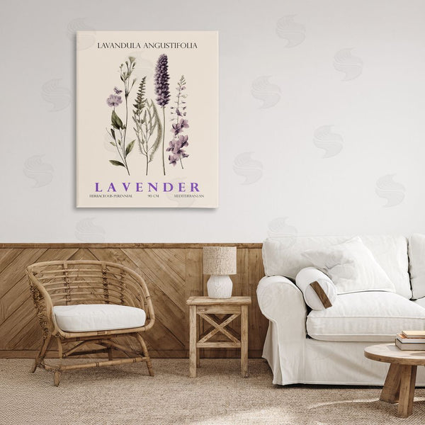 Stupell Industries Christopher Giampietro | Natural Lavender Bundle