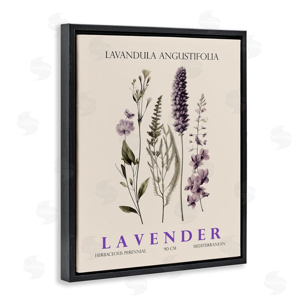 Stupell Industries Christopher Giampietro | Natural Lavender Bundle