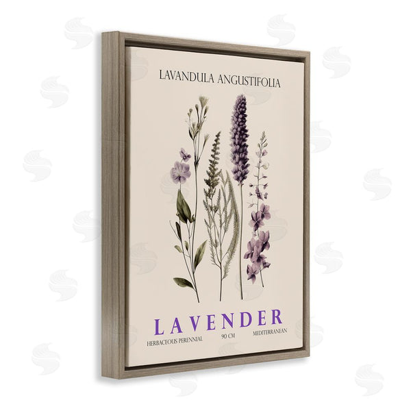 Stupell Industries Christopher Giampietro | Natural Lavender Bundle