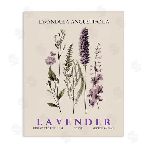stupell industries Christopher Giampietro | Natural Lavender Bundle