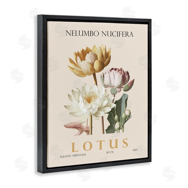 Stupell Industries Christopher Giampietro | Natural Lotus Bundle