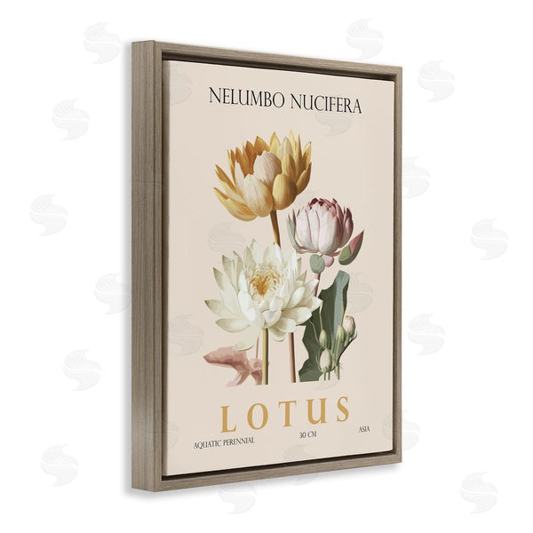 Stupell Industries Christopher Giampietro | Natural Lotus Bundle