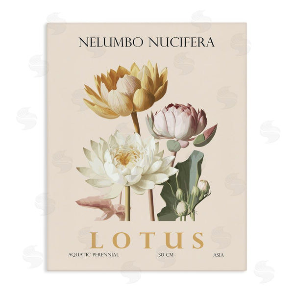 stupell industries Christopher Giampietro | Natural Lotus Bundle