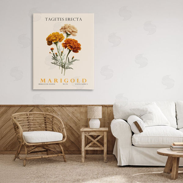 Stupell Industries Christopher Giampietro | Natural Marigold Bundle