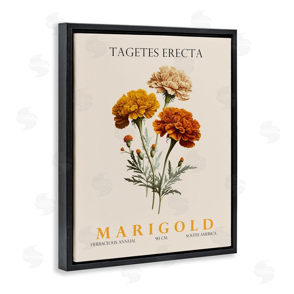 Stupell Industries Christopher Giampietro | Natural Marigold Bundle