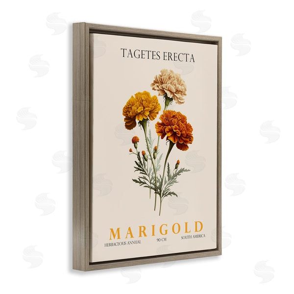 Stupell Industries Christopher Giampietro | Natural Marigold Bundle