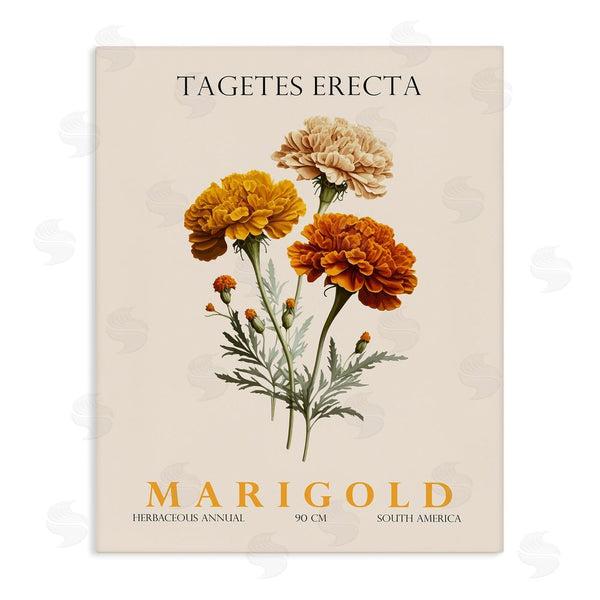stupell industries Christopher Giampietro | Natural Marigold Bundle