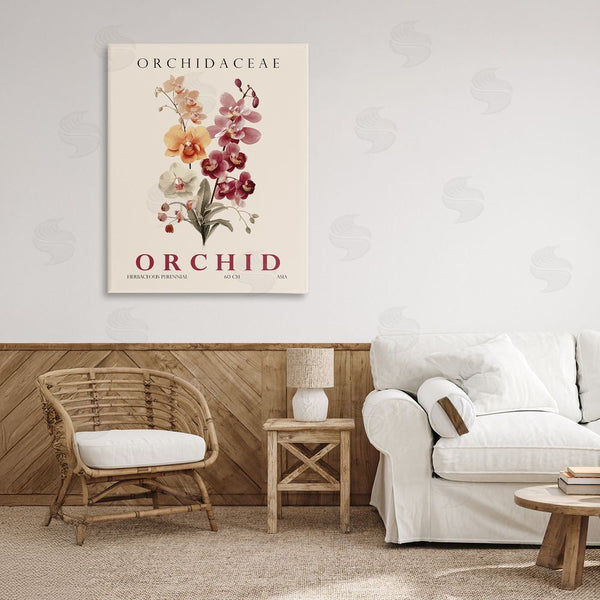 Stupell Industries Christopher Giampietro | Natural Orchid Bundle