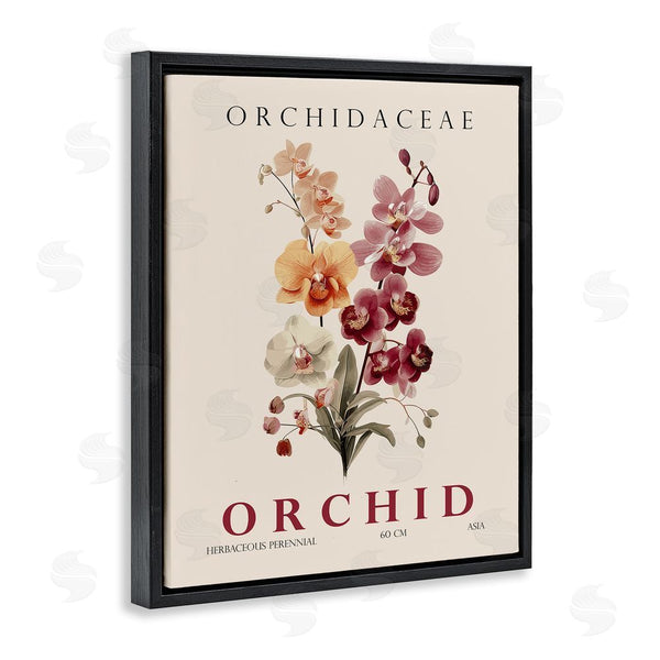 Stupell Industries Christopher Giampietro | Natural Orchid Bundle