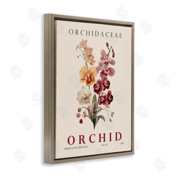 Stupell Industries Christopher Giampietro | Natural Orchid Bundle