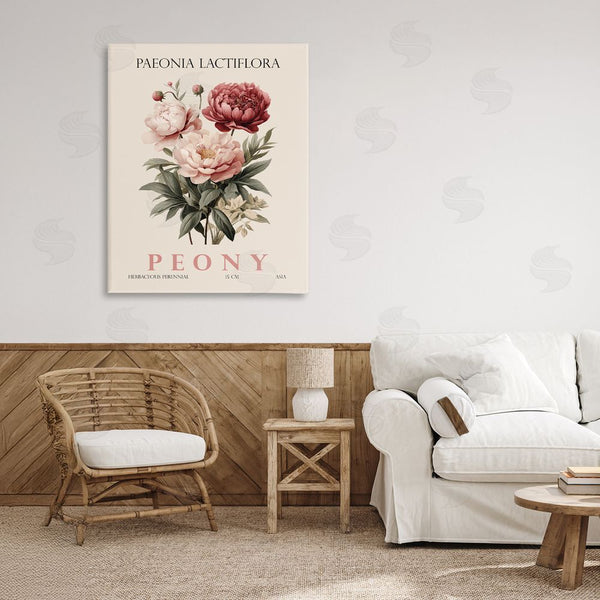 Stupell Industries Christopher Giampietro | Natural Peony Bundle