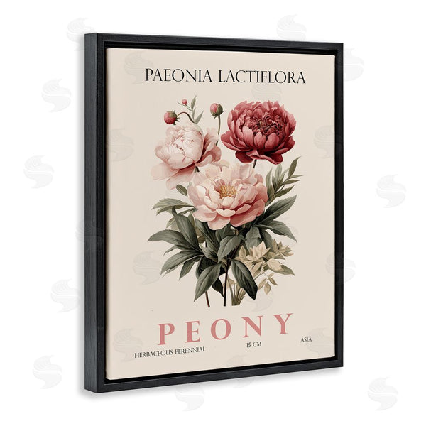 Stupell Industries Christopher Giampietro | Natural Peony Bundle