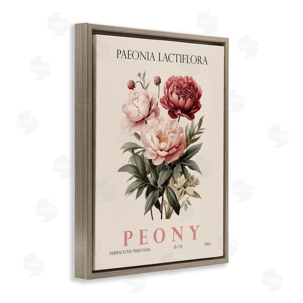 Stupell Industries Christopher Giampietro | Natural Peony Bundle