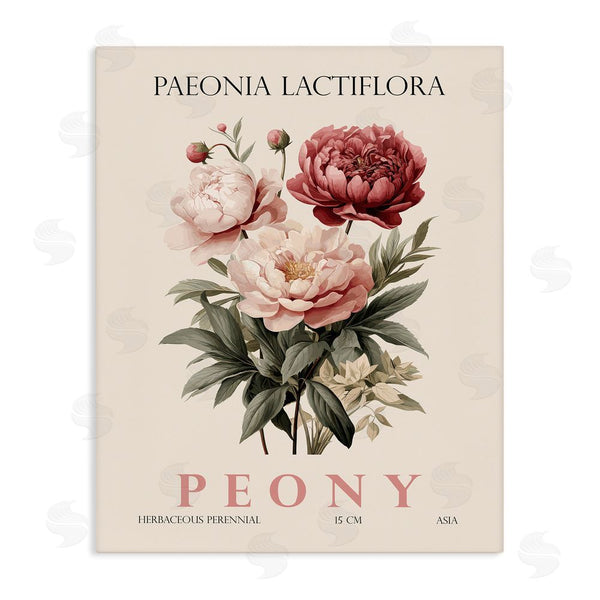 stupell industries Christopher Giampietro | Natural Peony Bundle