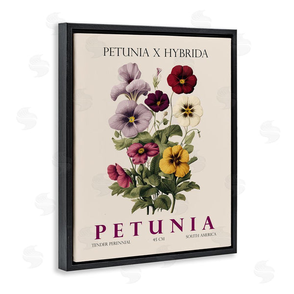 Stupell Industries Christopher Giampietro | Natural Petunia Bundle