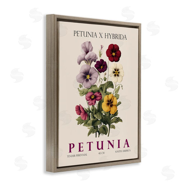 Stupell Industries Christopher Giampietro | Natural Petunia Bundle