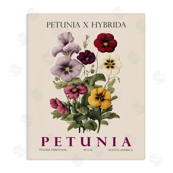 stupell industries Christopher Giampietro | Natural Petunia Bundle