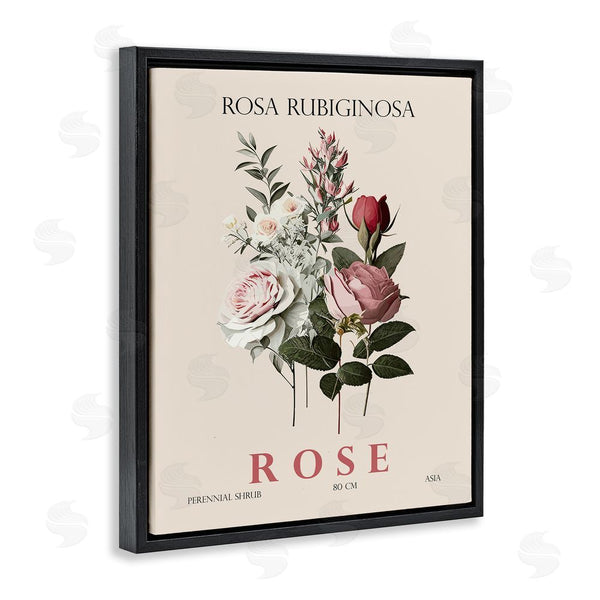 Stupell Industries Christopher Giampietro | Natural Rose Bundle