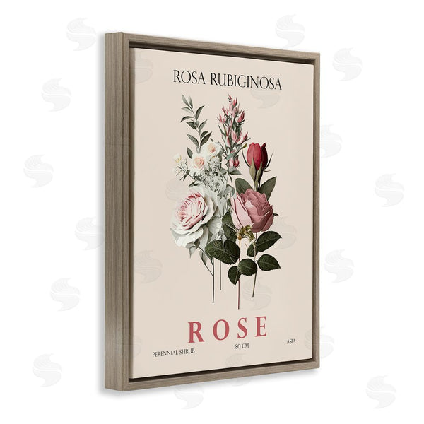 Stupell Industries Christopher Giampietro | Natural Rose Bundle