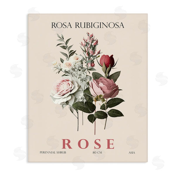 stupell industries Christopher Giampietro | Natural Rose Bundle