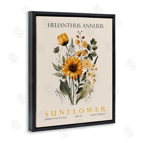 Stupell Industries Christopher Giampietro | Natural Sunflower Bundle