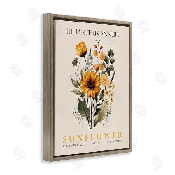 Stupell Industries Christopher Giampietro | Natural Sunflower Bundle