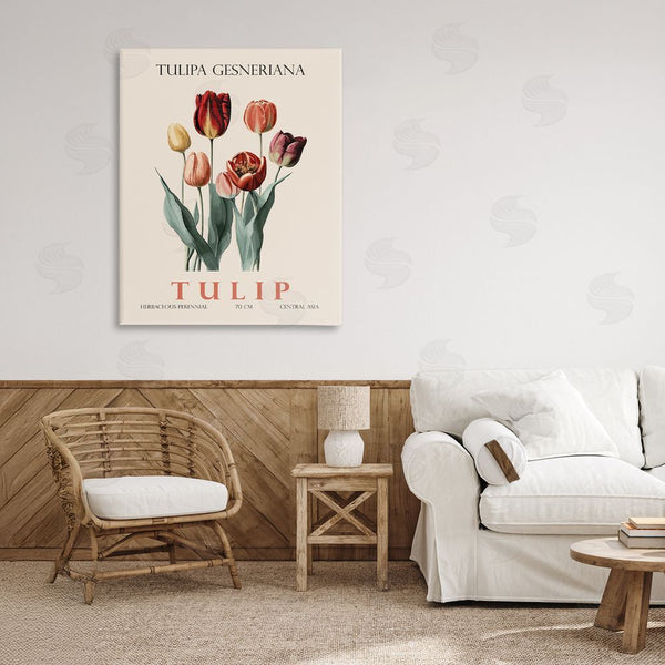 Stupell Industries Christopher Giampietro | Natural Tulip Bundle