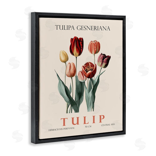 Stupell Industries Christopher Giampietro | Natural Tulip Bundle