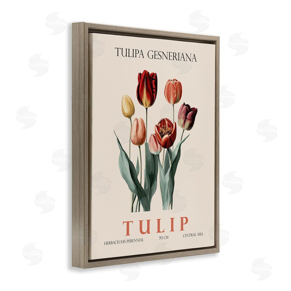 Stupell Industries Christopher Giampietro | Natural Tulip Bundle