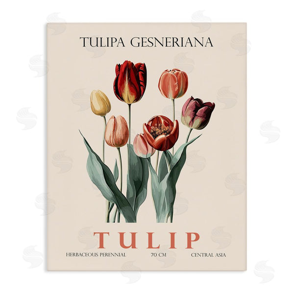 stupell industries Christopher Giampietro | Natural Tulip Bundle