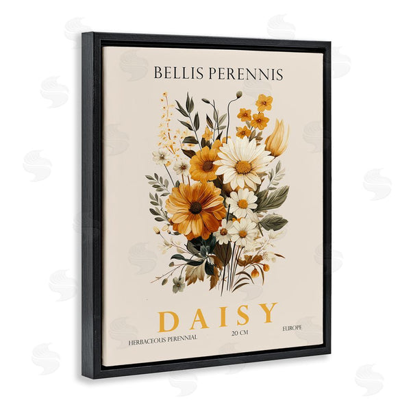 Stupell Industries Christopher Giampietro | Nature Daisy Bundle