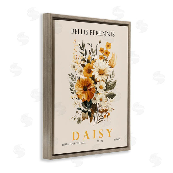 Stupell Industries Christopher Giampietro | Nature Daisy Bundle