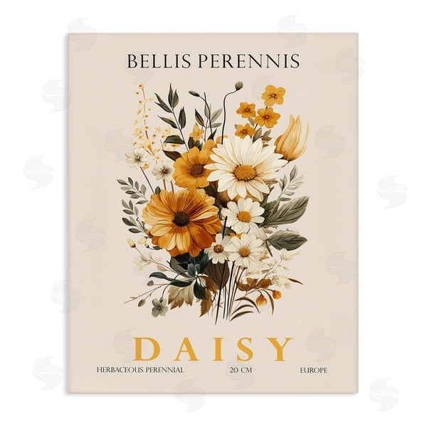 stupell industries Christopher Giampietro | Nature Daisy Bundle