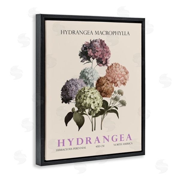 Stupell Industries Christopher Giampietro | Nature Hydrangea Bundle