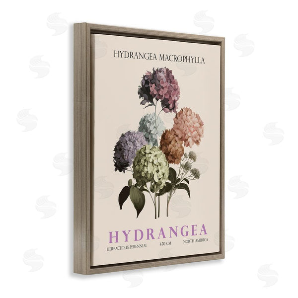 Stupell Industries Christopher Giampietro | Nature Hydrangea Bundle