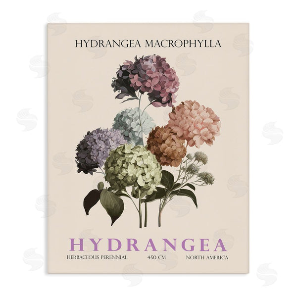 stupell industries Christopher Giampietro | Nature Hydrangea Bundle
