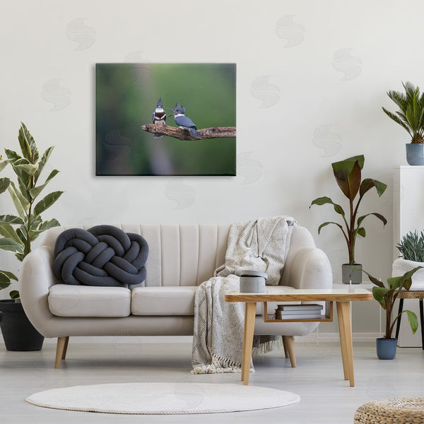 Stupell Industries Christopher Schlaf | Blue Jays On Branch Wall Art