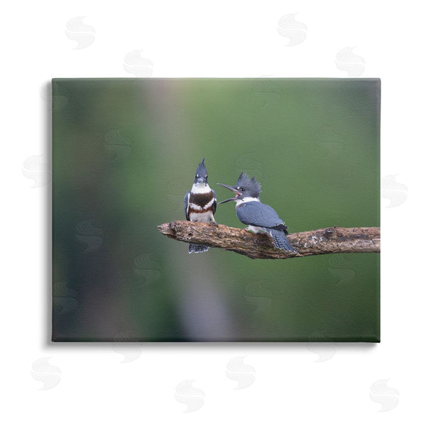 stupell industries Christopher Schlaf | Blue Jays on Branch Wall Art