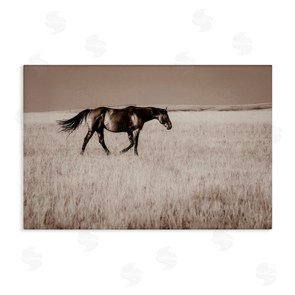 stupell industries Christy Berry | Dashing Montana Stallion Wall Art