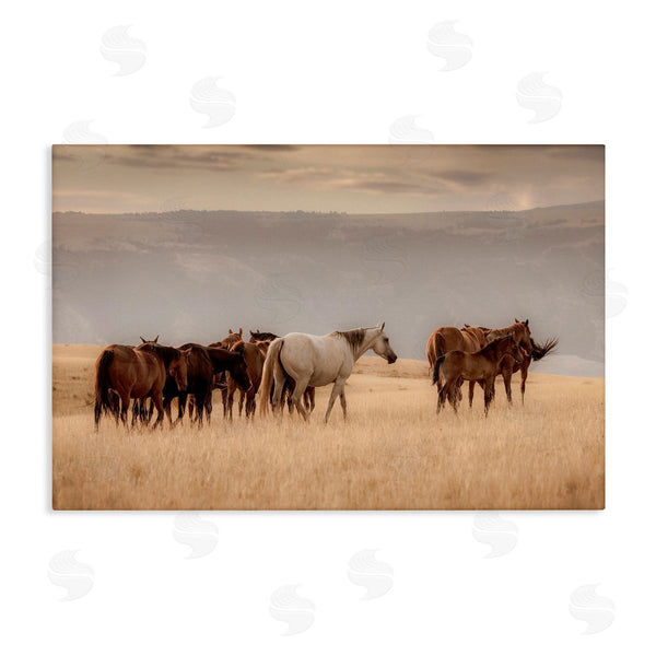 stupell industries Christy Berry | Equestrian Montana Herd Wall Art