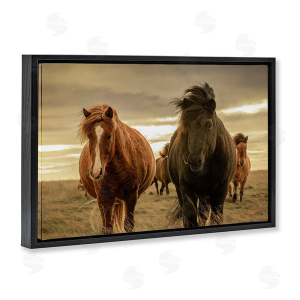 Stupell Industries Christy Berry | Icelandic Afterglow Horses Wall Art