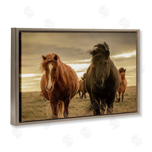 Stupell Industries Christy Berry | Icelandic Afterglow Horses Wall Art