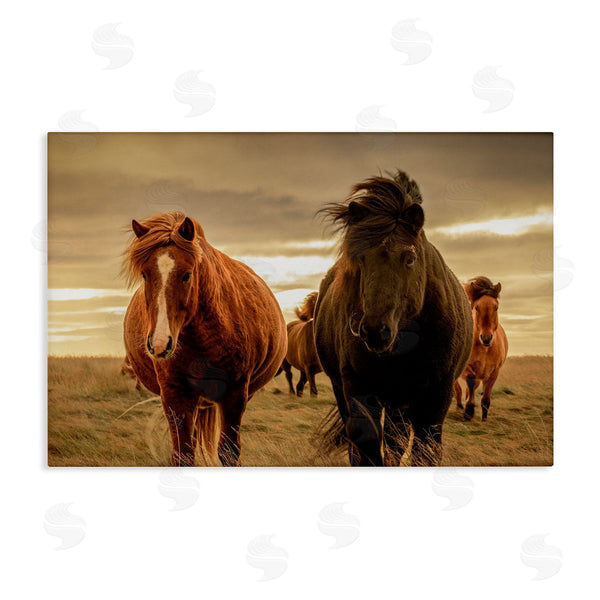 stupell industries Christy Berry | Icelandic Afterglow Horses Wall Art