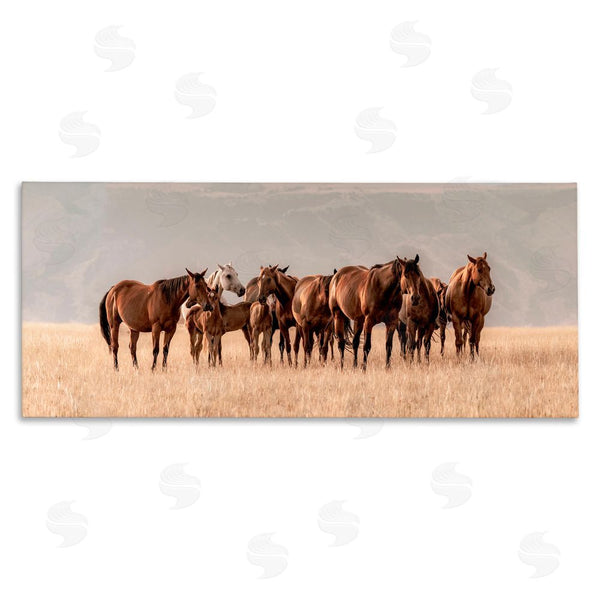 stupell industries Christy Berry | Montana Mares Herd Wall Art