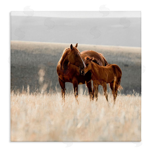 stupell industries Christy Berry | Montana Mares Landscape Wall Art