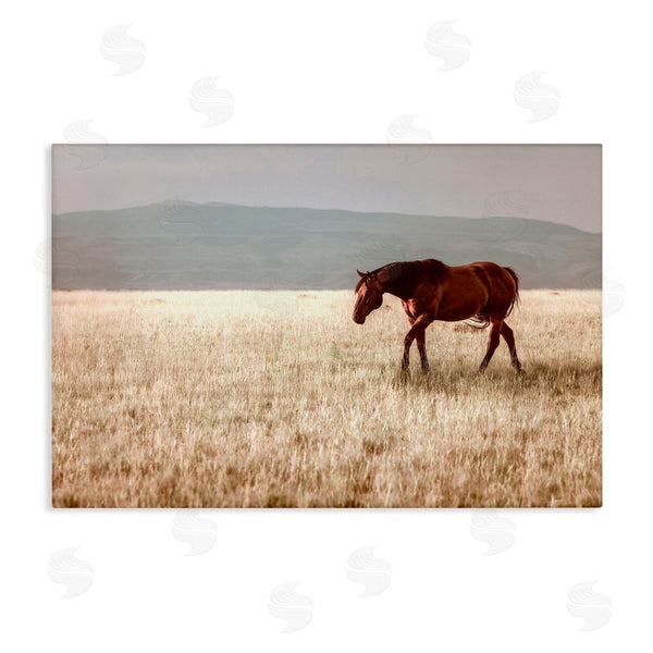stupell industries Christy Berry | Serene Montana Stallion Wall Art