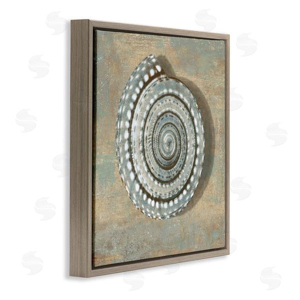 Stupell Industries Christy McKee | Spiral Shell Beach Objects Design Wall Art
