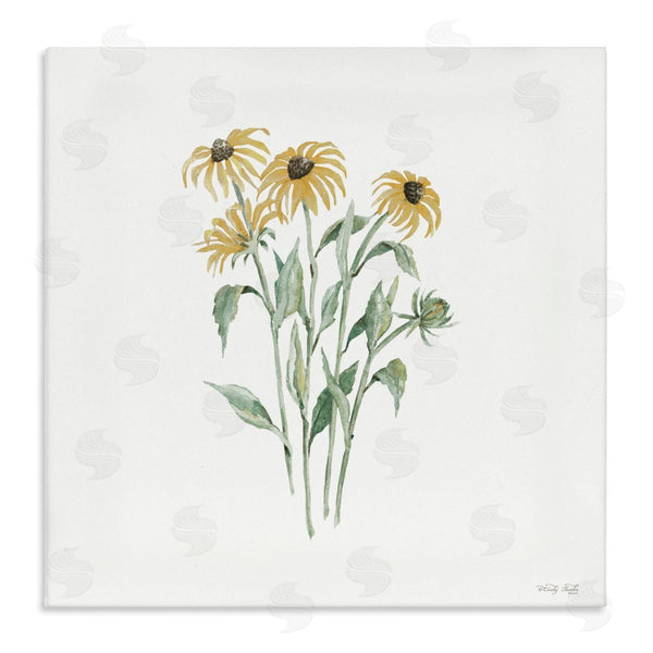 stupell industries Cindy Jacobs | Black-Eyed Susan Botanical Wall Art