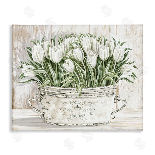 stupell industries Cindy Jacobs | Fresh White Tulip Flowers Vintage
