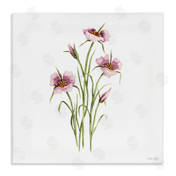 stupell industries Cindy Jacobs | Fuchsia Mariposa Botanical Wall Art